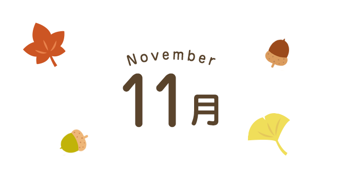 11月